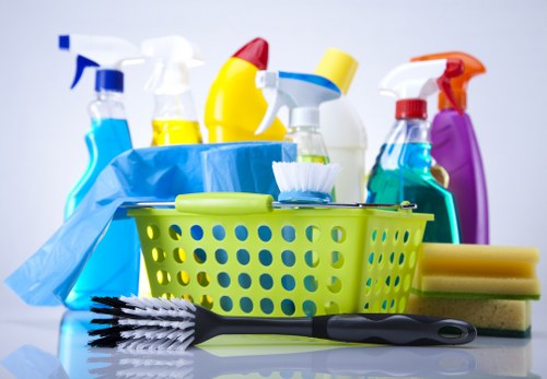 Professional Paddington cleaners maintaining a spotless residential space
