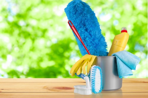 Detailed move in cleaning in a kitchen before unpacking