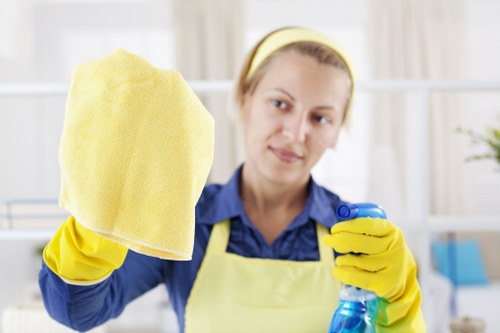 Eco-friendly house cleaning supplies on a counter