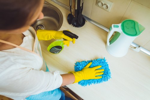 Weekly domestic cleaning routine with vacuuming and dusting