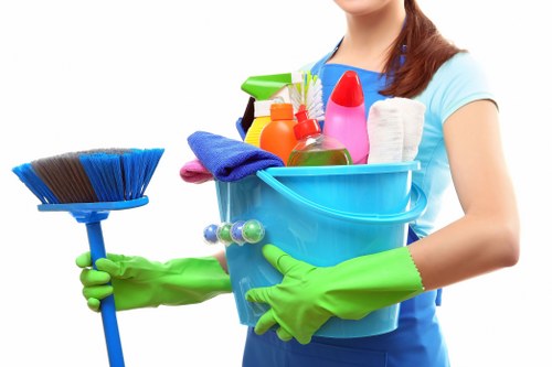 Professional carpet cleaning in a bright living room