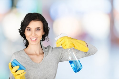 Regular cleaning service in a Paddington home interior