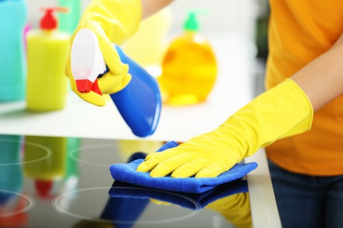Detailed deep cleaning service for a bathroom in Paddington