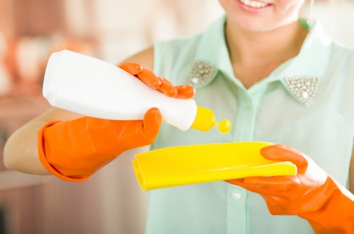 Domestic cleaning supplies arranged for kitchen and bathroom tasks