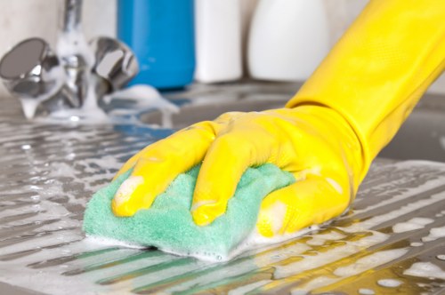 Step-by-step oven cleaning process for oven interior and racks