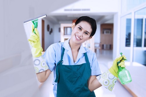 Home carpet maintenance with vacuuming